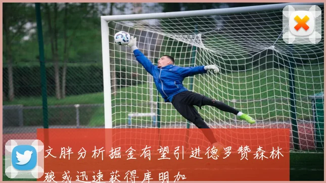 文胖分析掘金有望引进德罗赞森林狼或迅速获得库明加